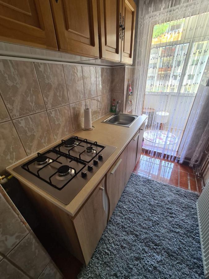Apartamento Garsoniera Slanic-Moldova Exterior foto